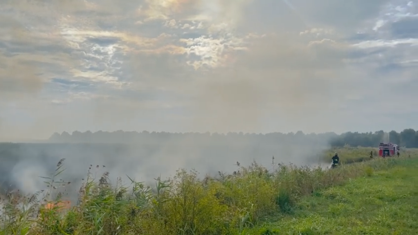 Immagine per Fiamme nei campi ad Aquileia, bruciano 20 ettari di territorio